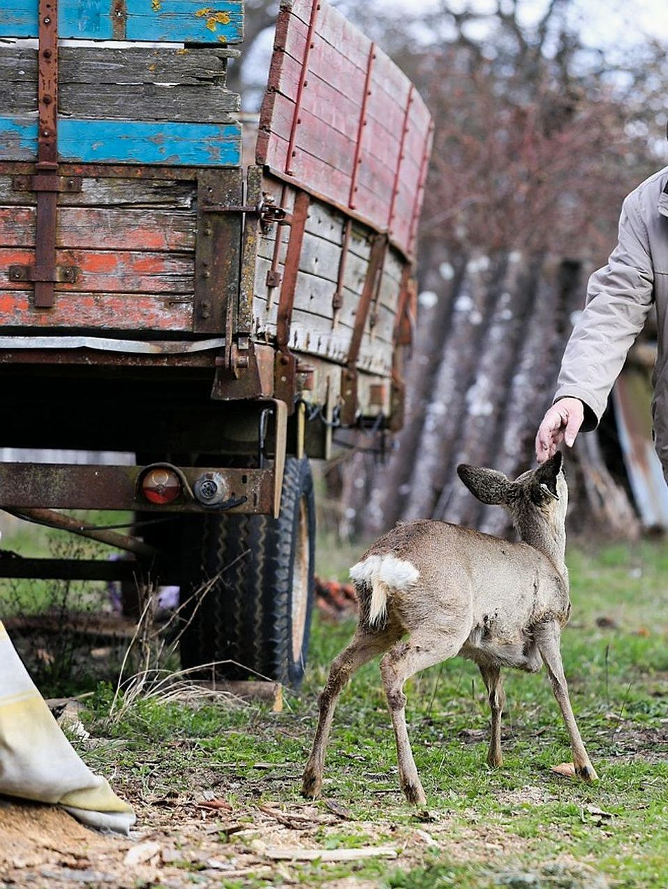 Le verdure più amate della stagione, da quando abbiamo aperto il nostro mercato stradale.